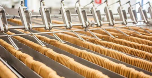 karo regal rexnord distributor